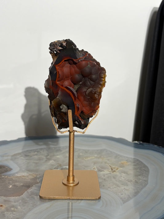 "Renard" Red Fox Agate on Custom Display Stand G
