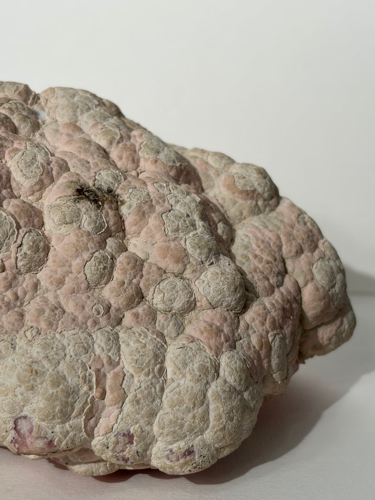 “Tierra Rosa” Botryoidal Floral Rhodochrosite Statement Freeform (Collector’s Choice)