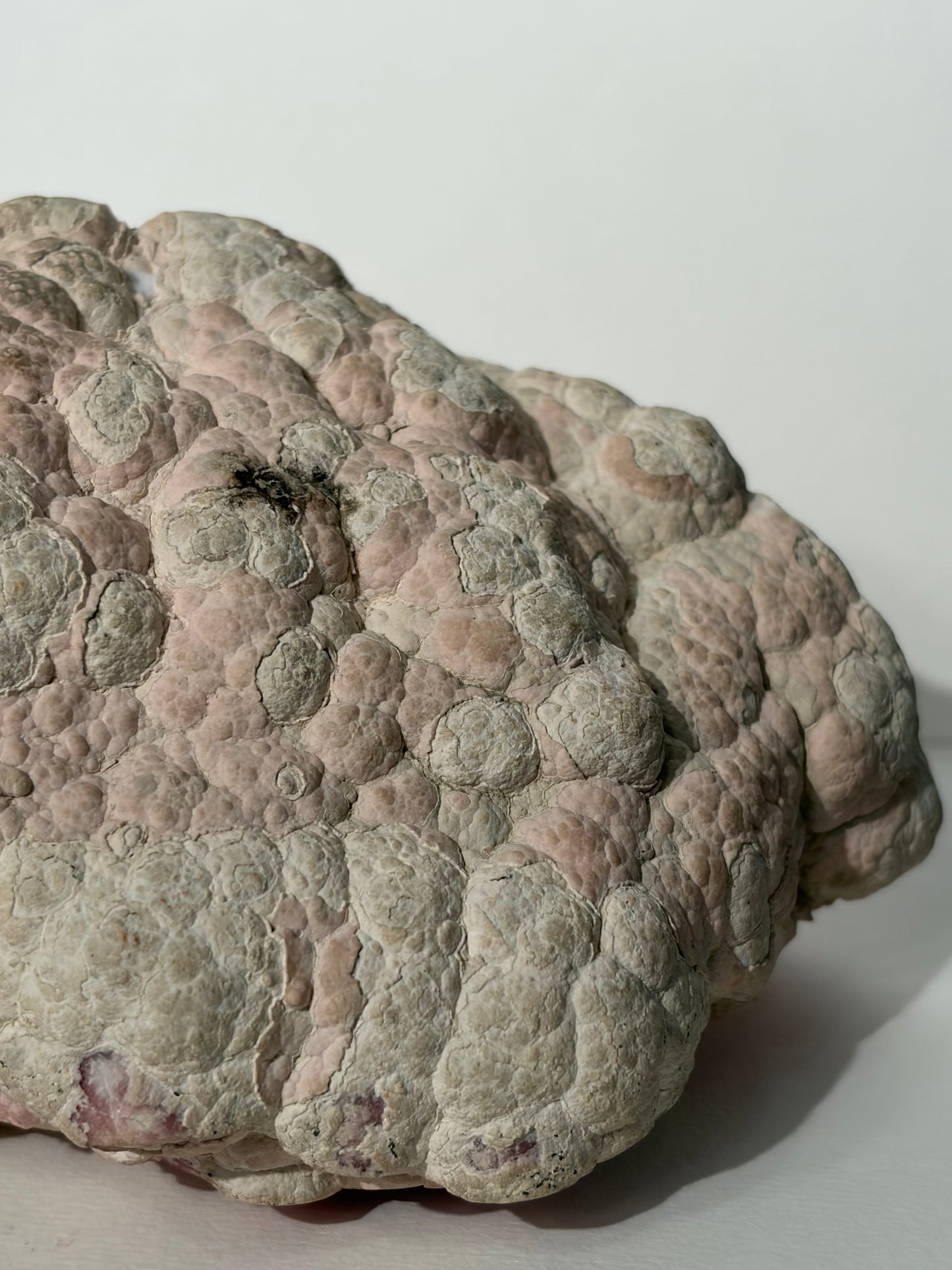 “Tierra Rosa” Botryoidal Floral Rhodochrosite Statement Freeform (Collector’s Choice)