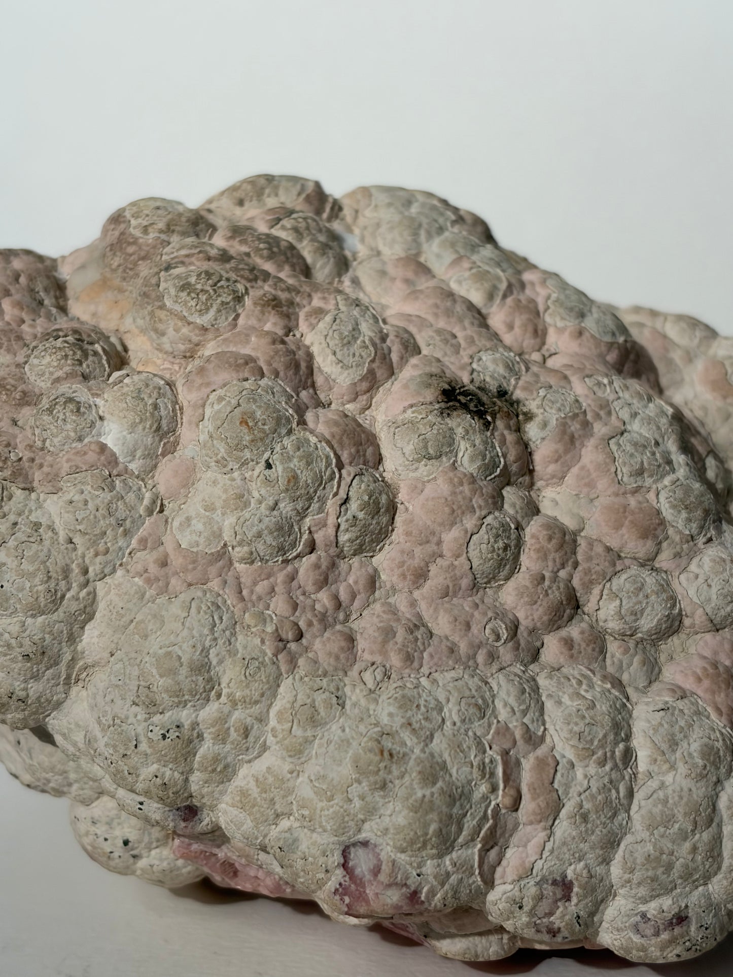 “Tierra Rosa” Botryoidal Floral Rhodochrosite Statement Freeform (Collector’s Choice)