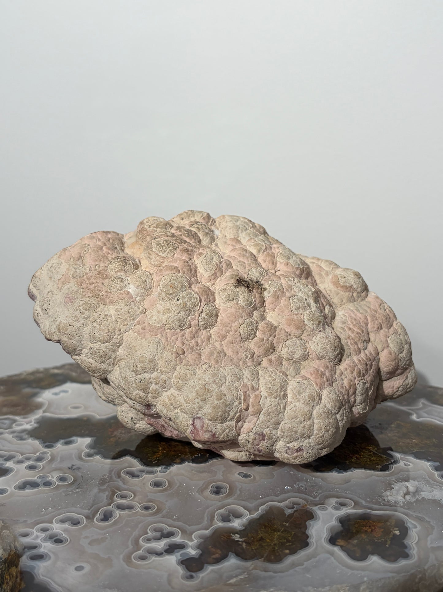 “Tierra Rosa” Botryoidal Floral Rhodochrosite Statement Freeform (Collector’s Choice)