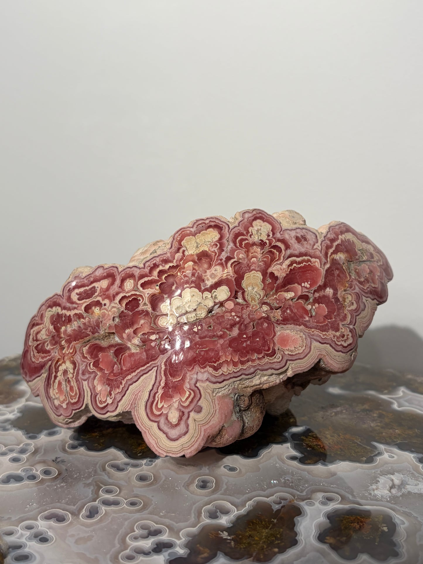 “Tierra Rosa” Botryoidal Floral Rhodochrosite Statement Freeform (Collector’s Choice)
