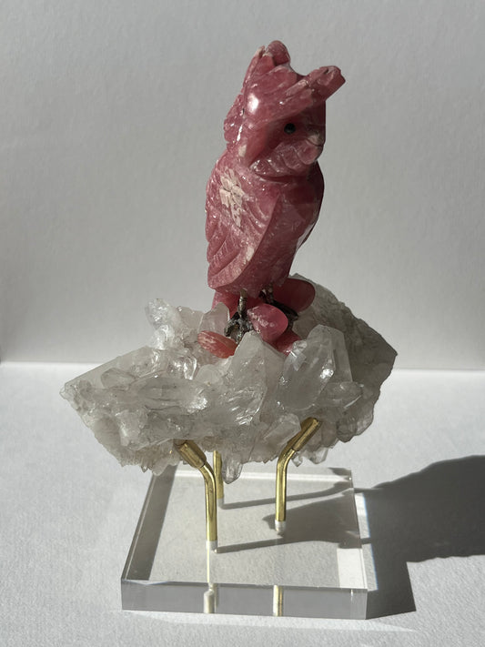 “Uatu” Gemmy Rhodochrosite Owl Carving on Quartz Cluster