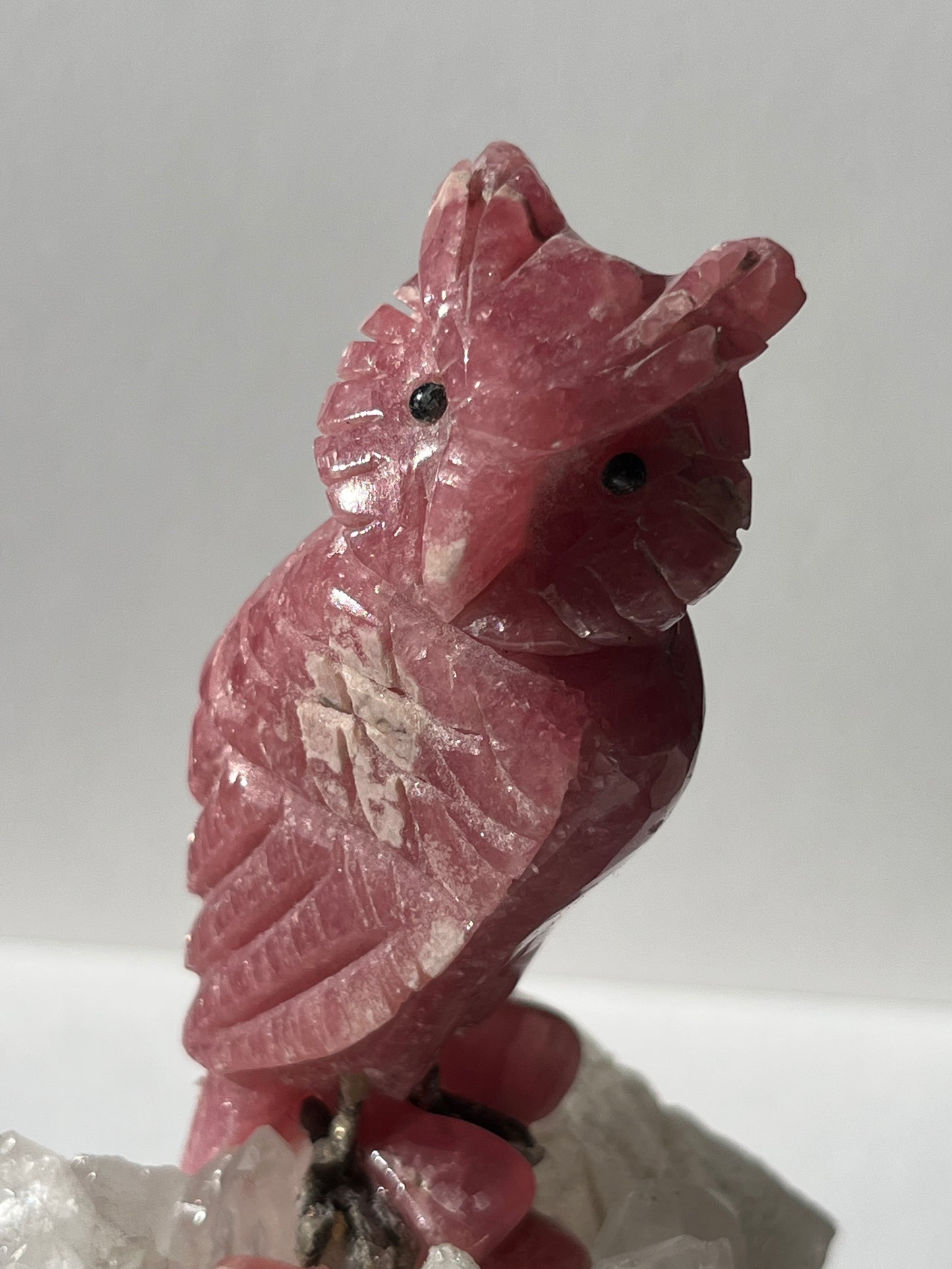 “Uatu” Gemmy Rhodochrosite Owl Carving on Quartz Cluster