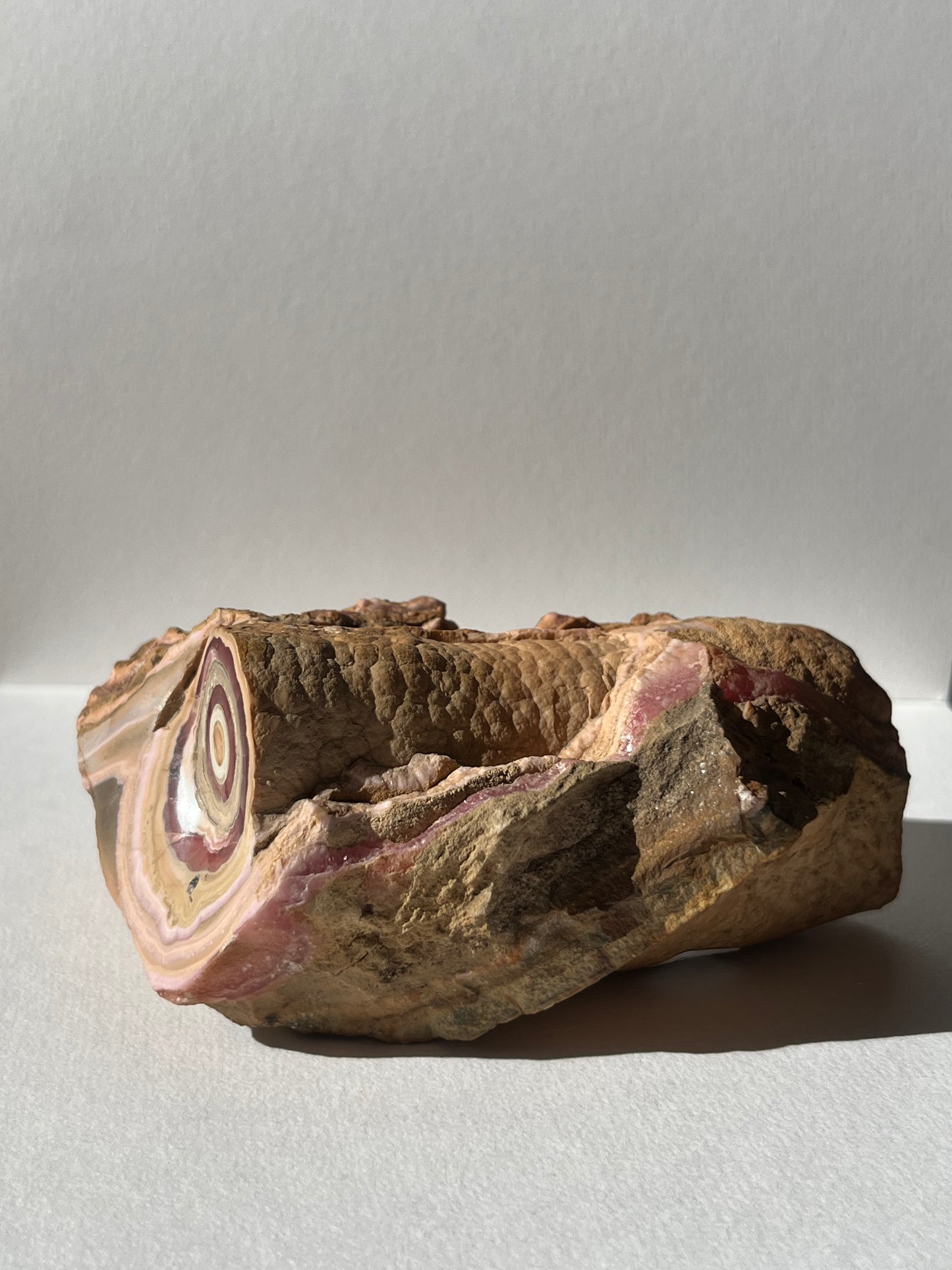 1980s Rhodochrosite Stalactite Log in Original Host Matrix (Collector's Choice)