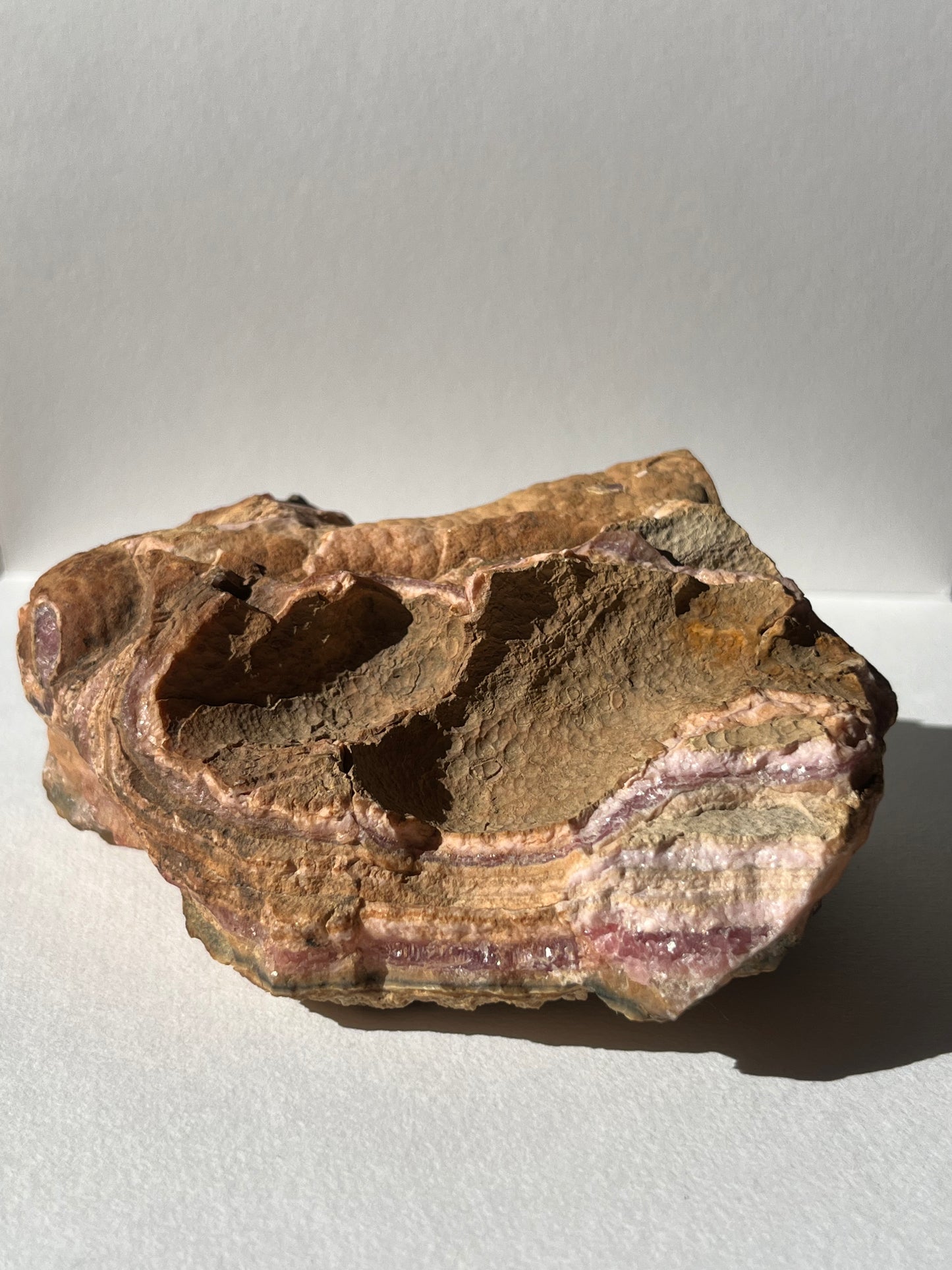 1980s Rhodochrosite Stalactite Log in Original Host Matrix (Collector's Choice)