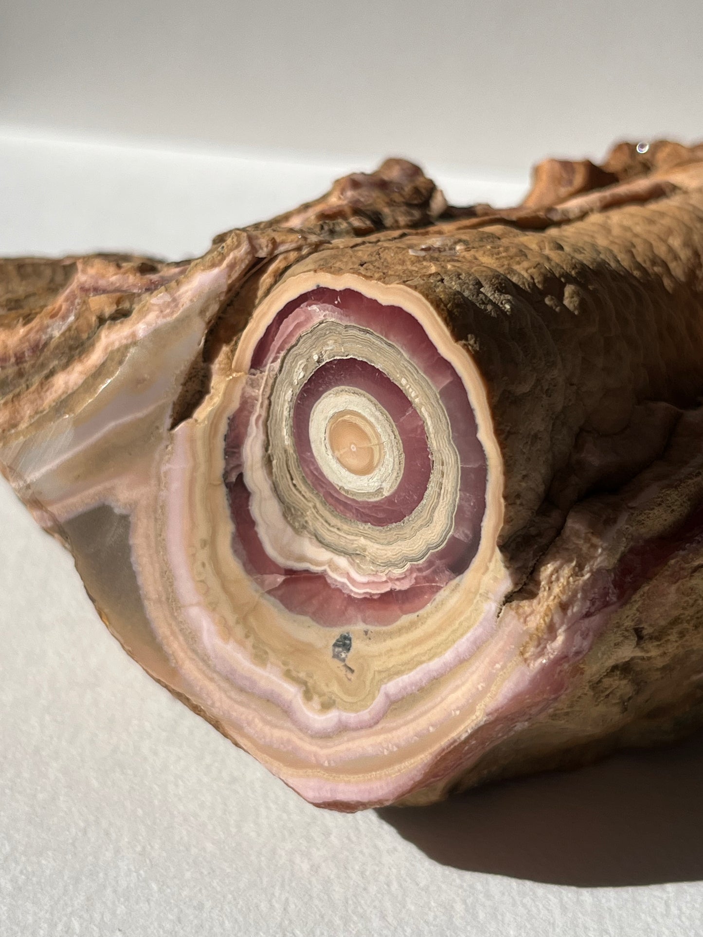 1980s Rhodochrosite Stalactite Log in Original Host Matrix (Collector's Choice)