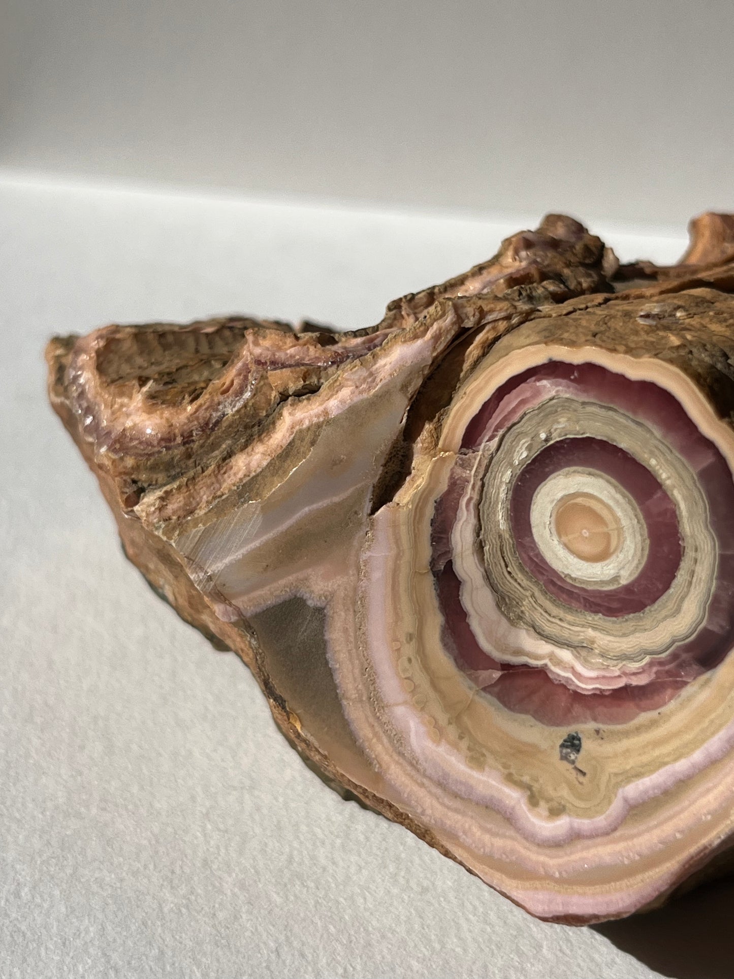 1980s Rhodochrosite Stalactite Log in Original Host Matrix (Collector's Choice)