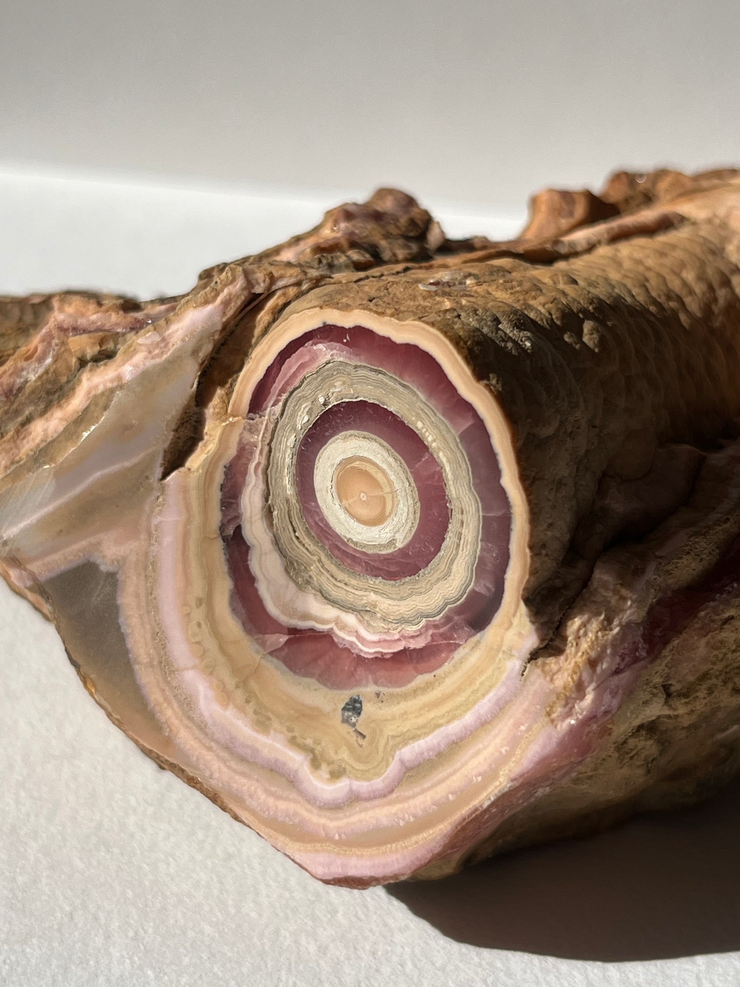 1980s Rhodochrosite Stalactite Log in Original Host Matrix (Collector's Choice)