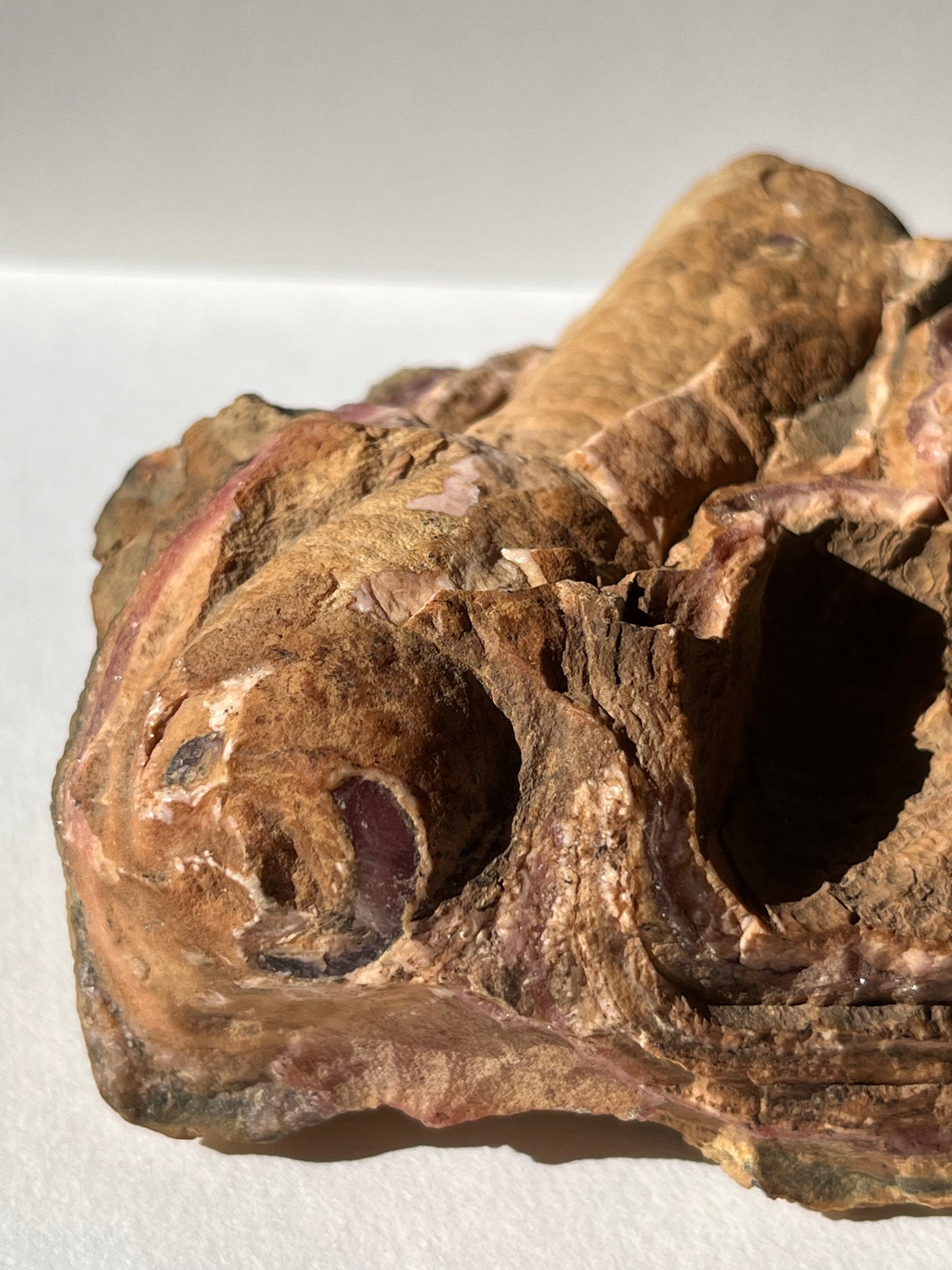 1980s Rhodochrosite Stalactite Log in Original Host Matrix (Collector's Choice)