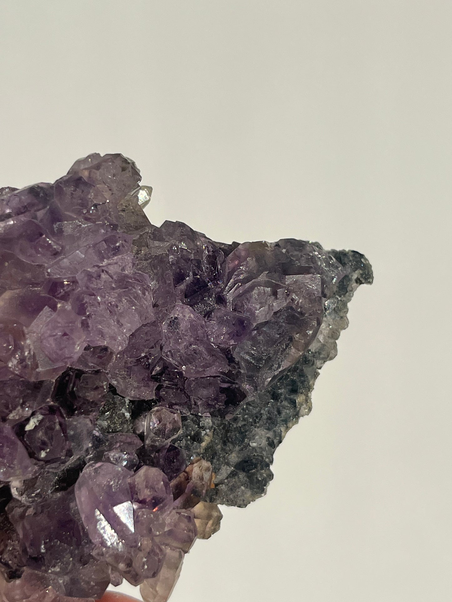 Sceptre Amethyst on Matrix Specimen C (Collector’s Choice)