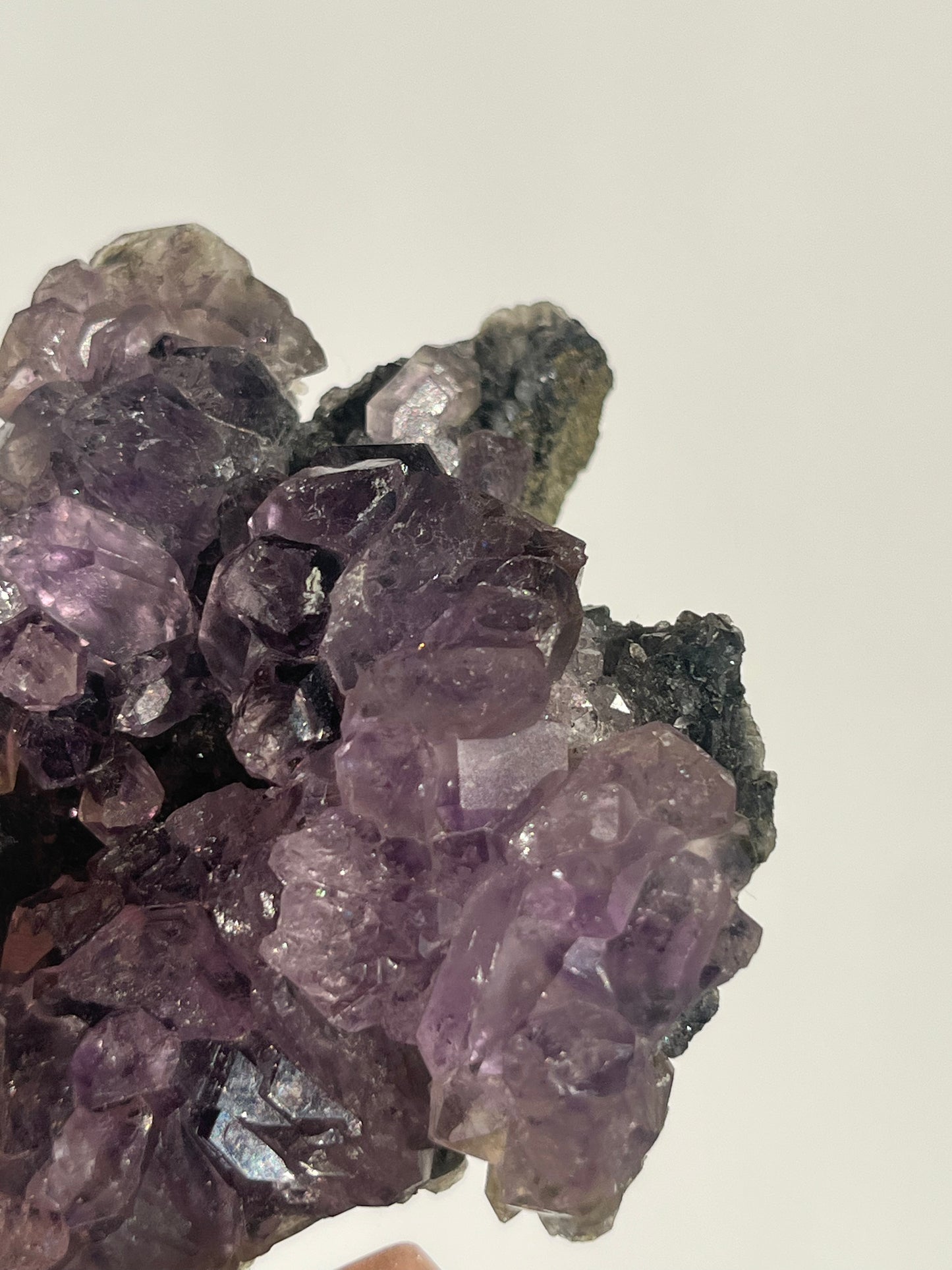 Sceptre Amethyst on Matrix Specimen C (Collector’s Choice)