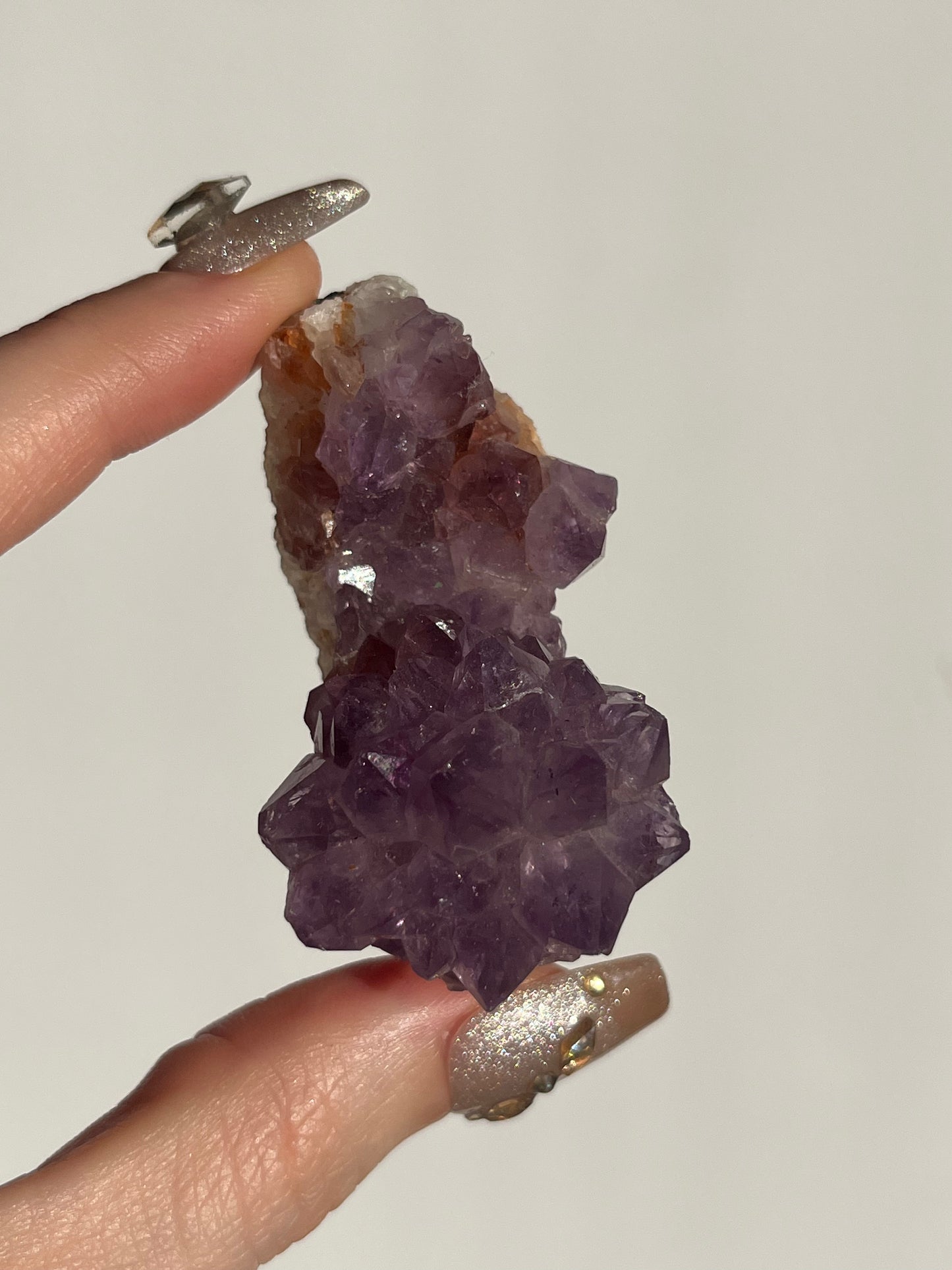 Amethyst Rose Specimen E