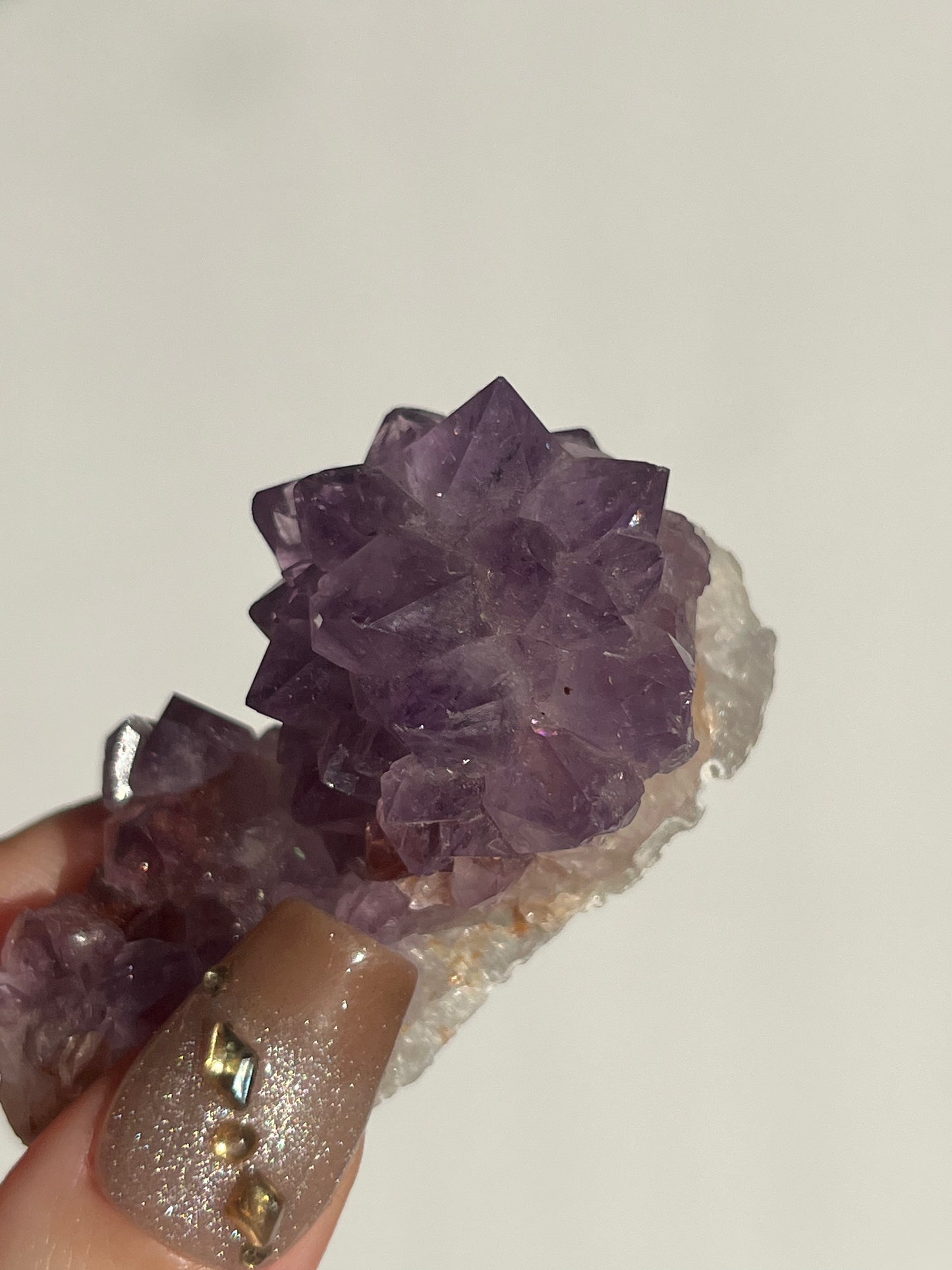 Amethyst Rose Specimen E