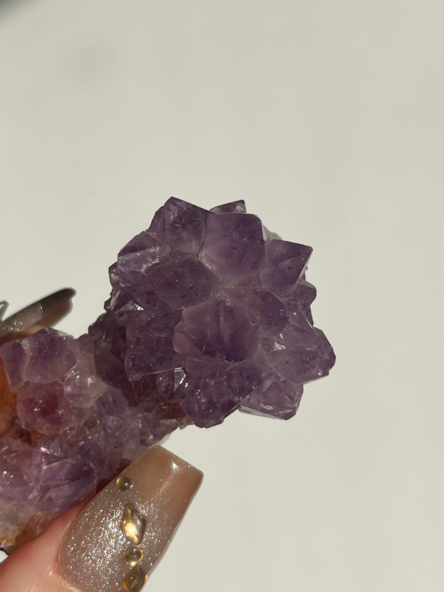 Amethyst Rose Specimen E