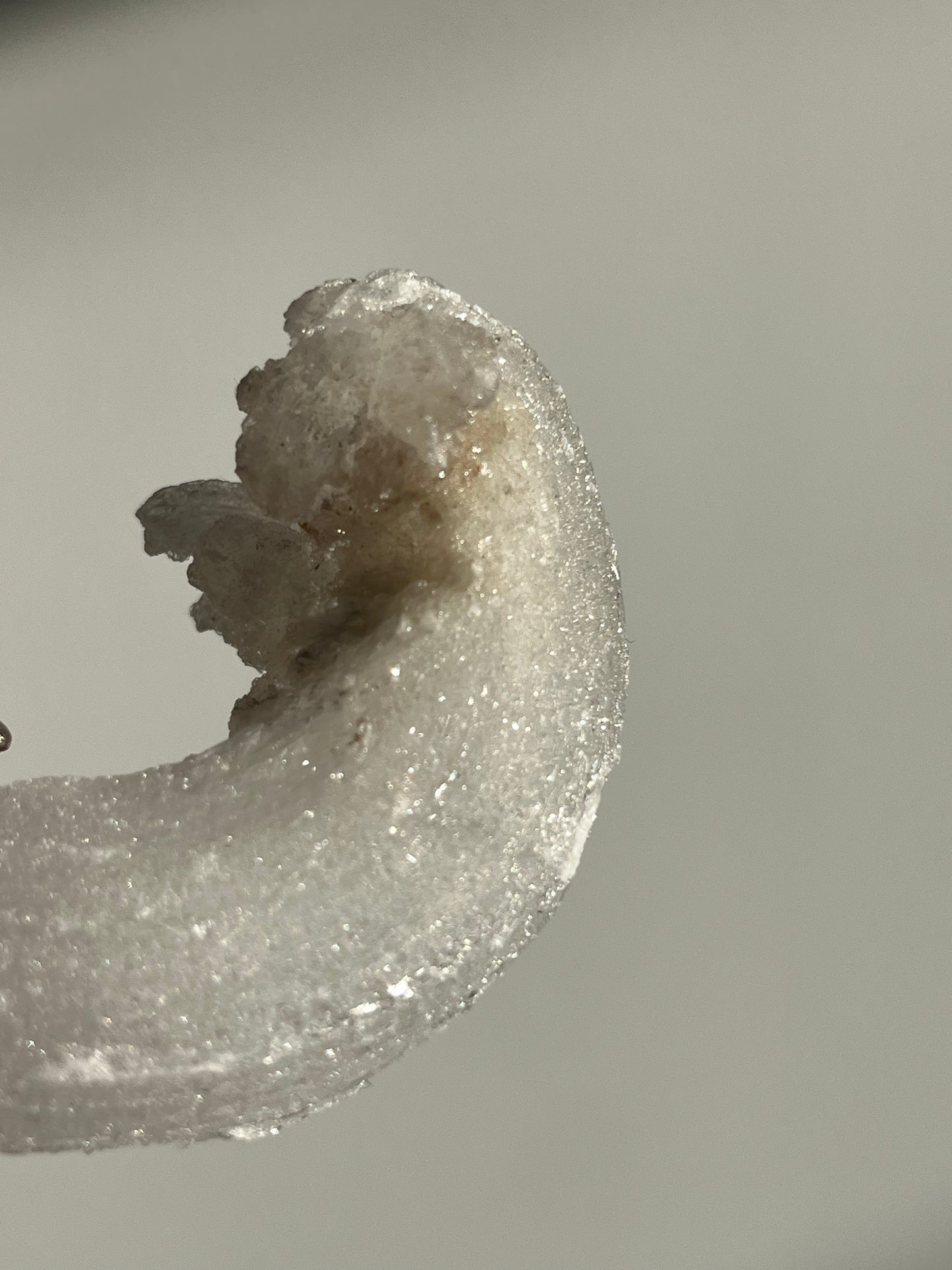 Selenite Horn Specimen B