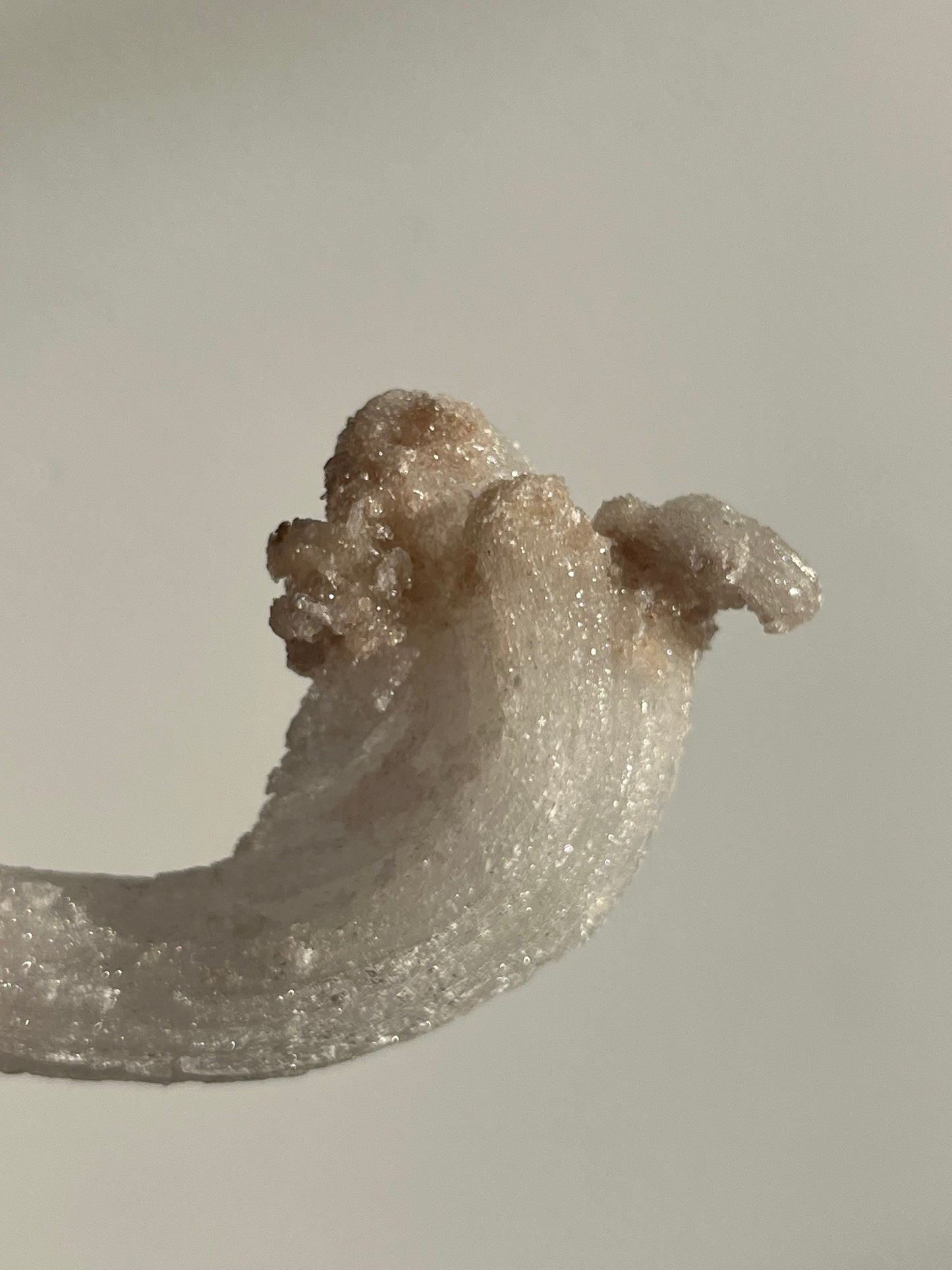 Selenite Horn Specimen C