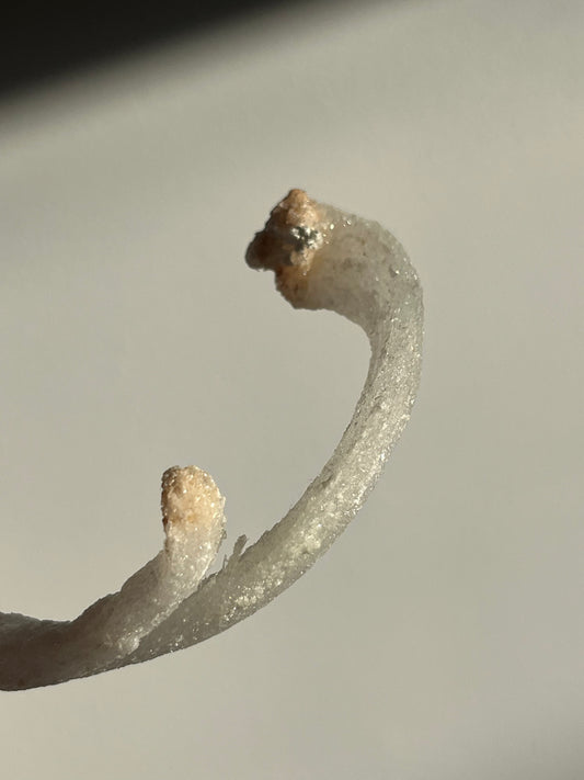 Selenite Horn Specimen D