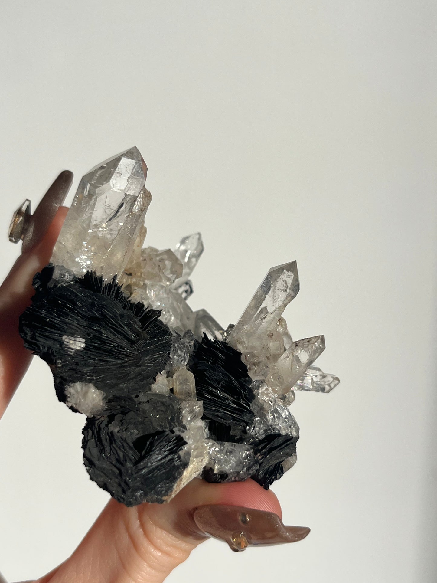 Specularite Hematite Rose with Quartz Specimen G