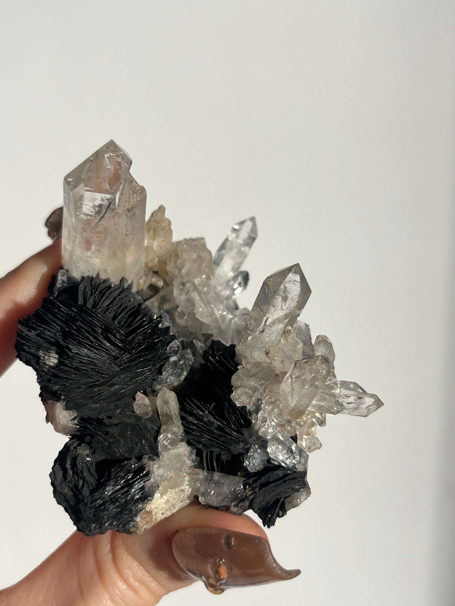 Specularite Hematite Rose with Quartz Specimen G