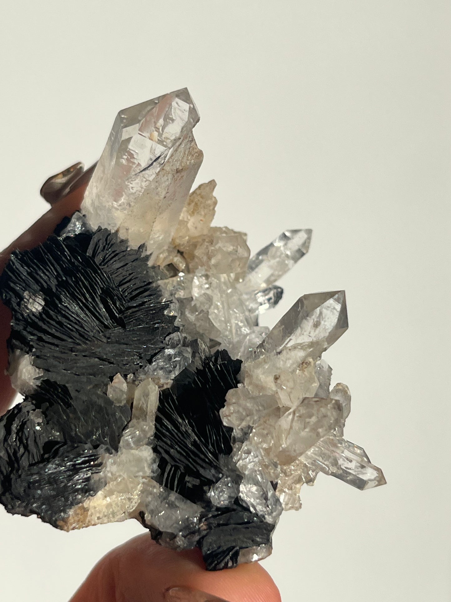 Specularite Hematite Rose with Quartz Specimen G