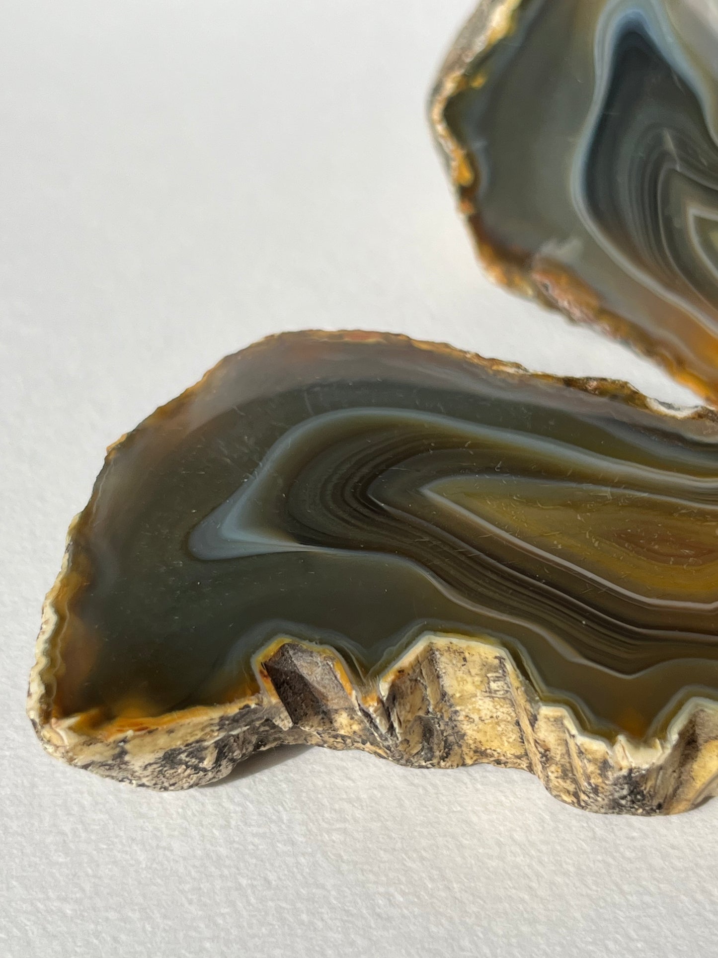 "Alluvia" West Indonesian River Agate Pair A