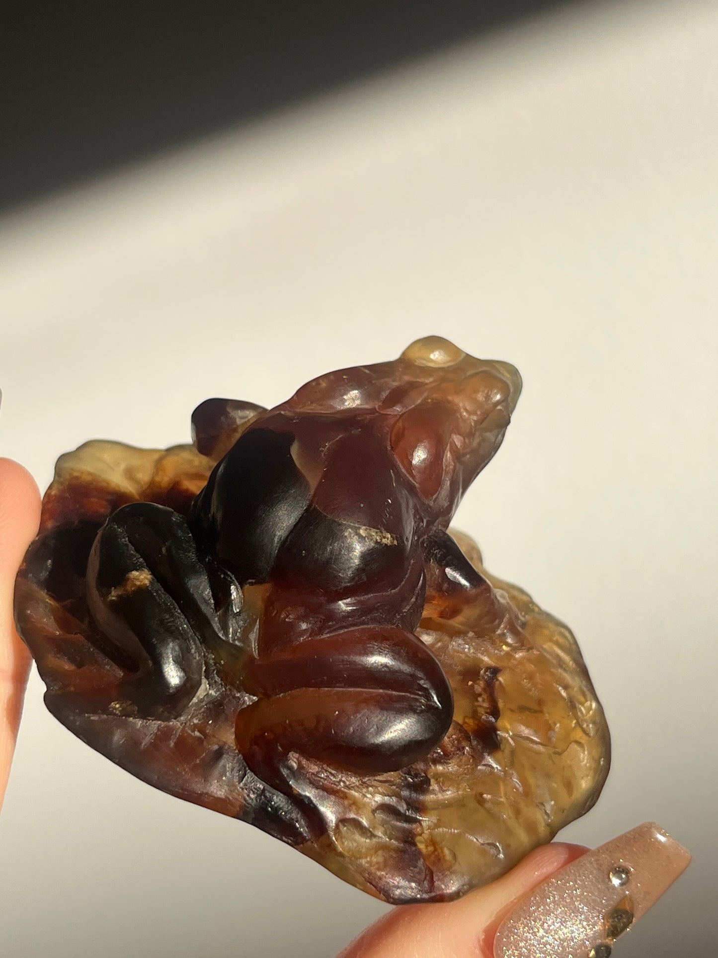"Katak" Sumatran Amber Frog on Monstera Leaves Carving