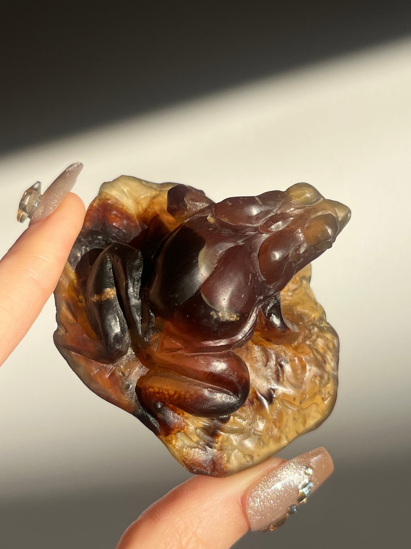 "Katak" Sumatran Amber Frog on Monstera Leaves Carving
