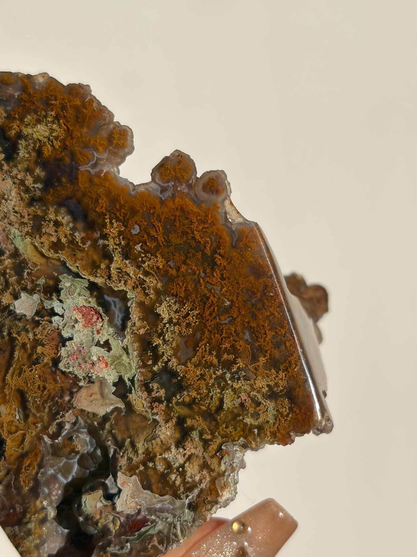 “The First Garden” Tembaga Moss in Chalcedony Botryoidal Freeform A