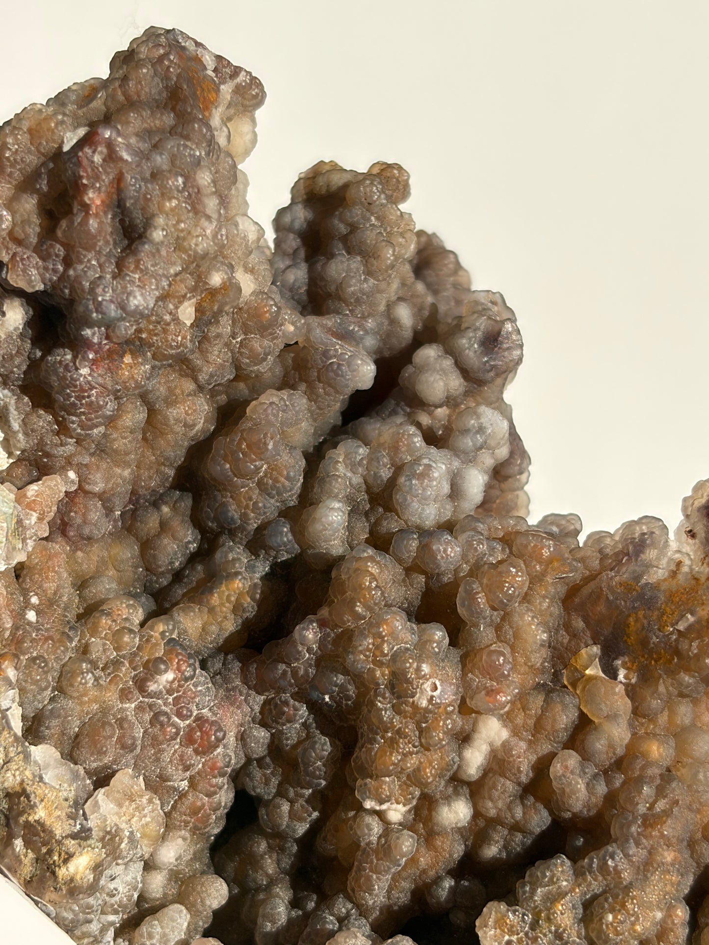 “The First Garden” Tembaga Moss in Chalcedony Botryoidal Freeform A