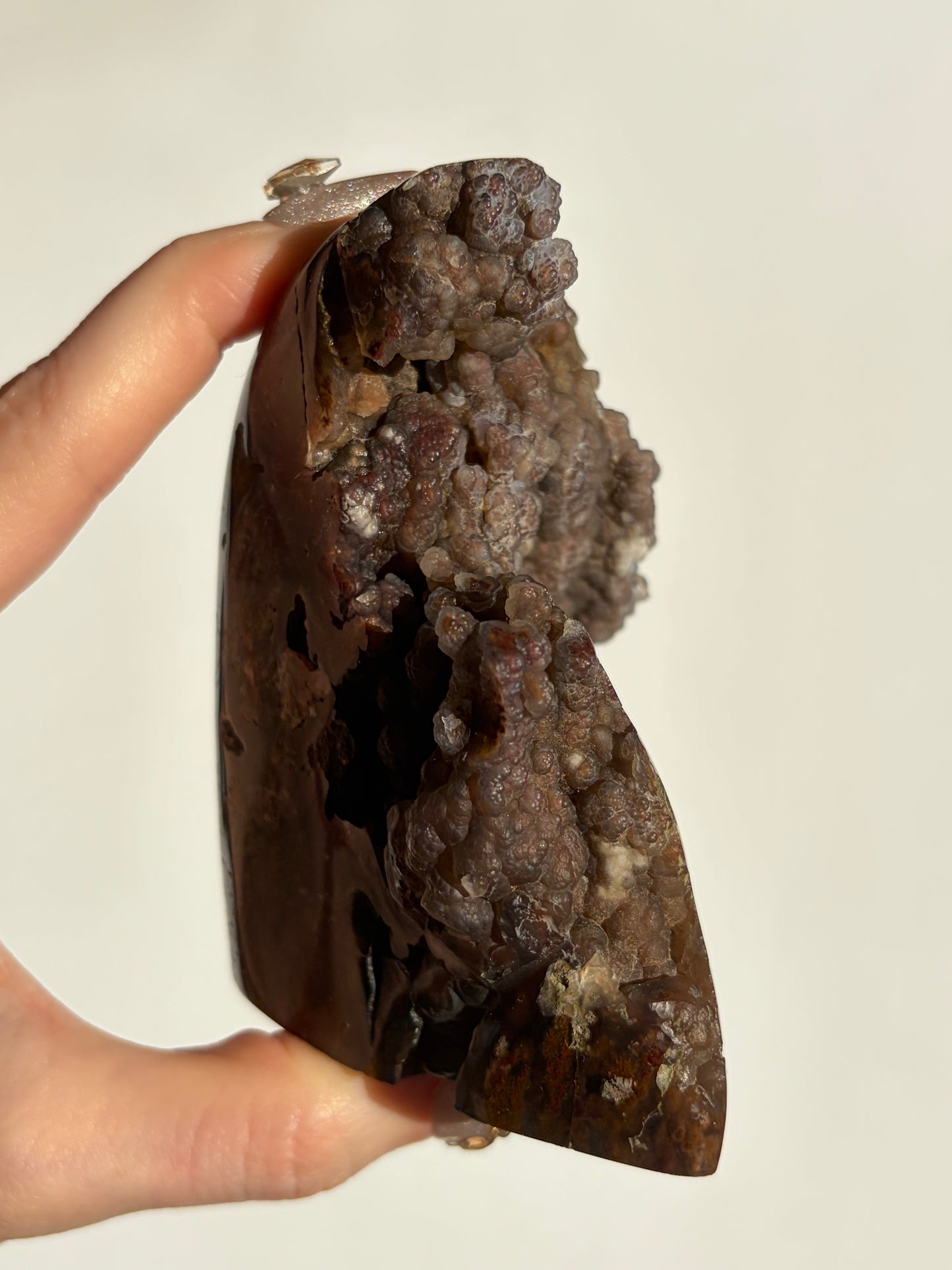“The Botanical Cosmos” Tembaga Moss in Chalcedony Botryoidal Freeform B