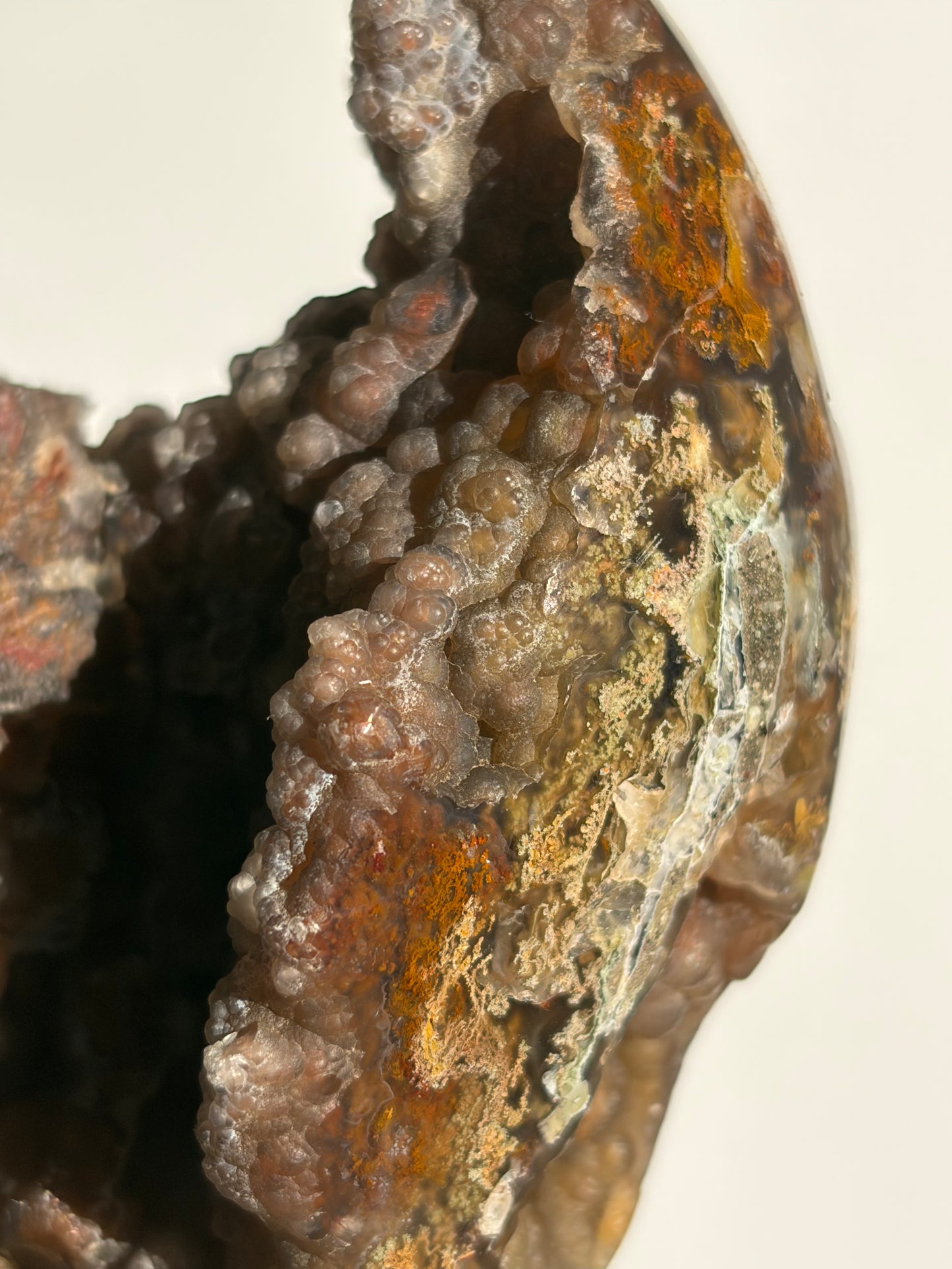 “The Botanical Cosmos” Tembaga Moss in Chalcedony Botryoidal Freeform B