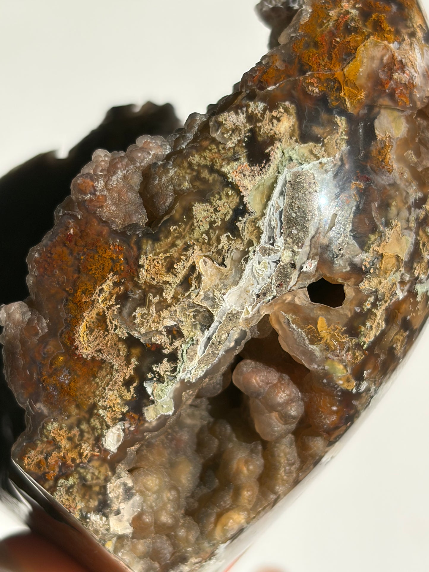 “The Botanical Cosmos” Tembaga Moss in Chalcedony Botryoidal Freeform B