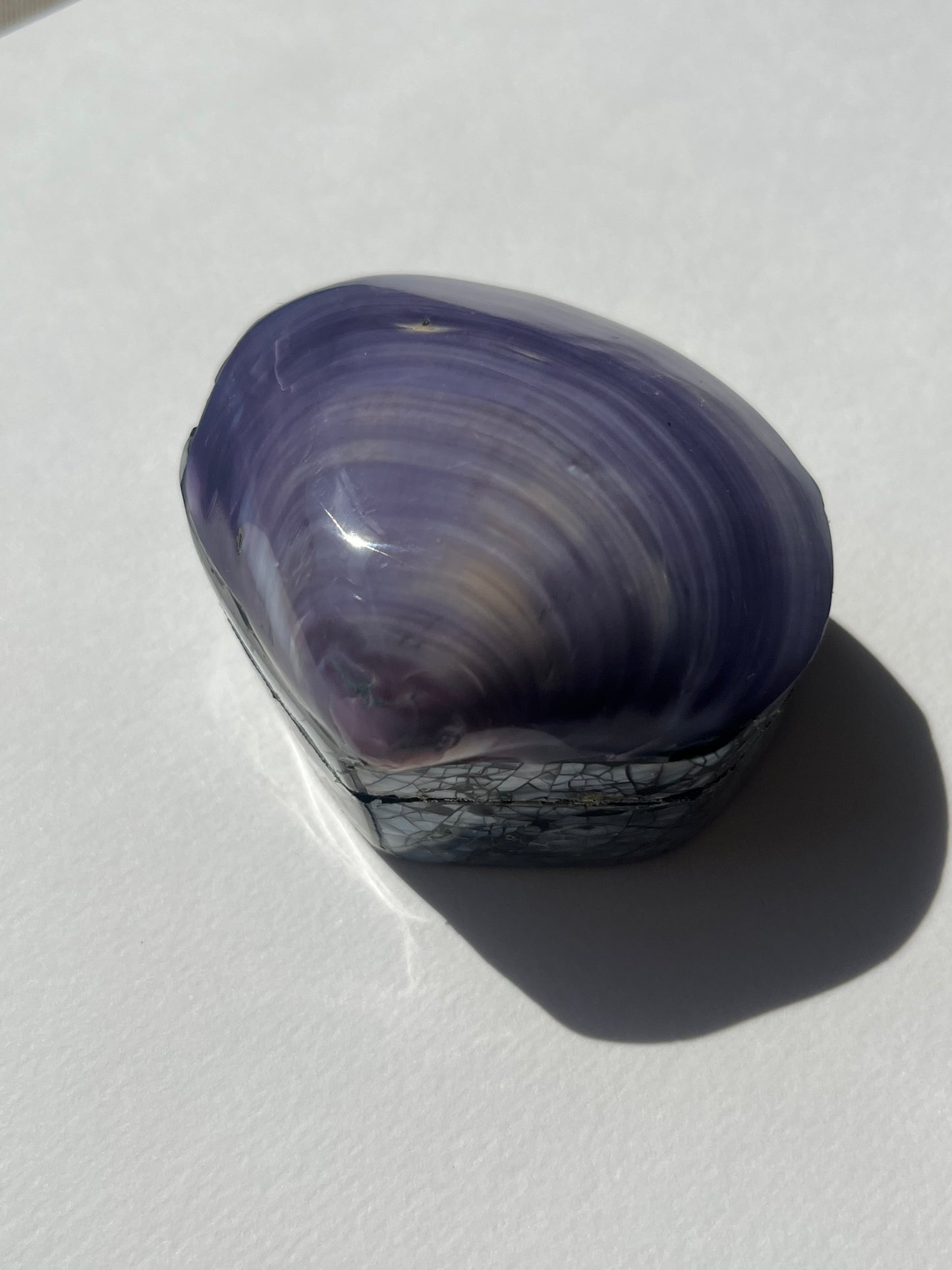 The Tiffany Shell Box with Paua Shell
