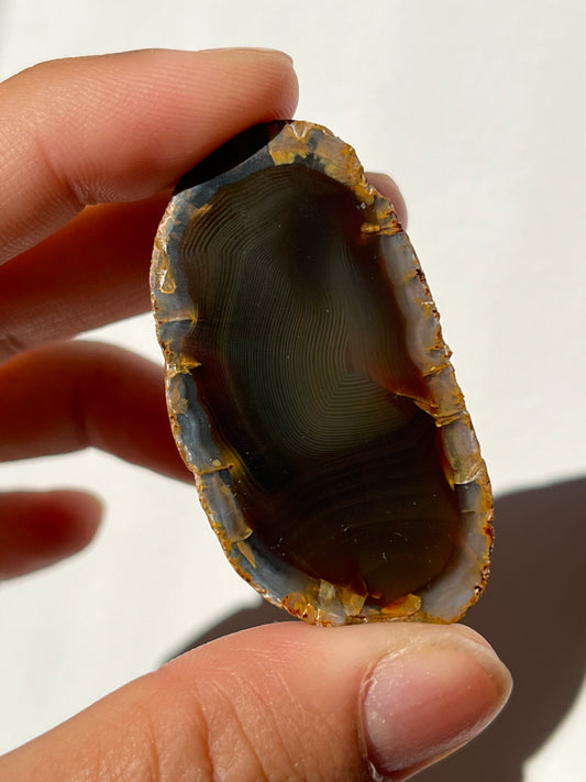 'Gilded Eclipse' West Indonesian River Agate Pair w/ Fingerprint Banding