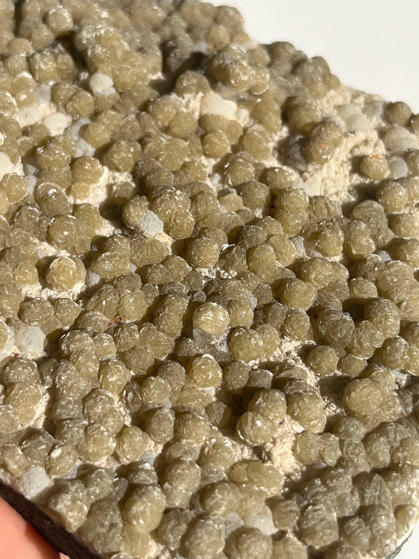 Yellow Gyrolite with Prehnite and Mordenite Specimen B