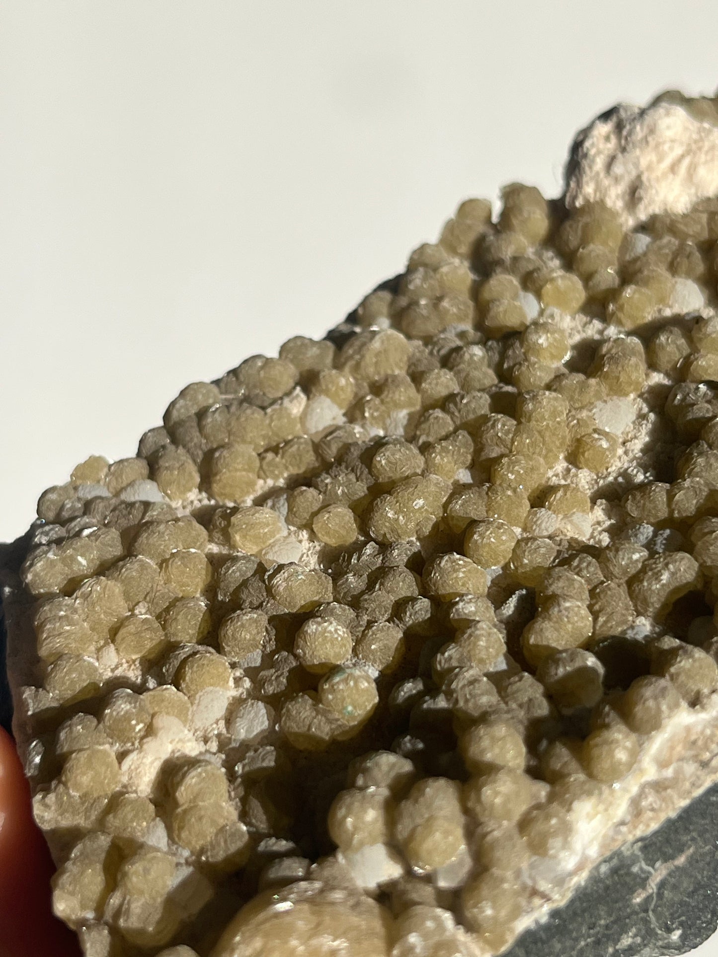 Yellow Gyrolite with Prehnite and Mordenite Specimen C
