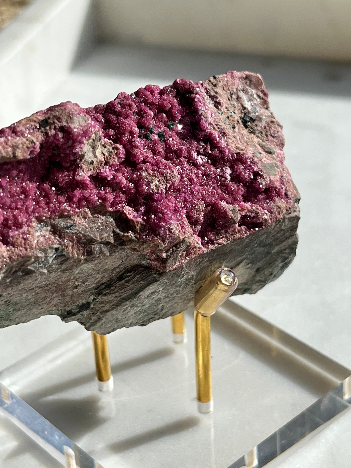 Three Leg Specimen Stand Gold