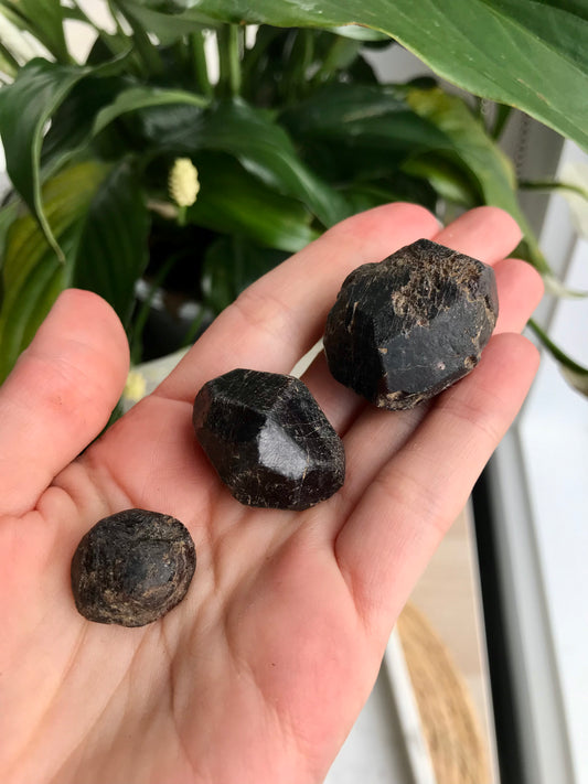 Faceted Raw Garnet Crystals