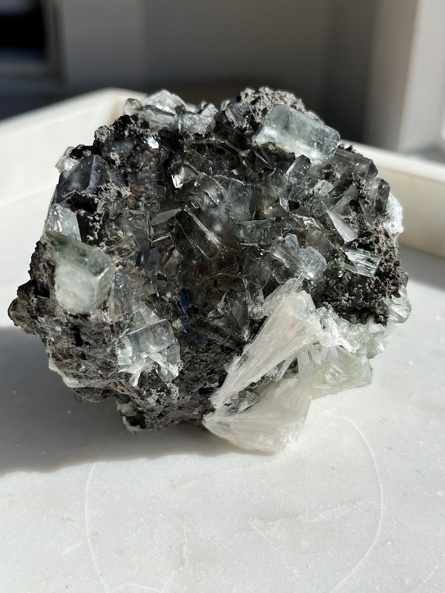 Green Apophyllite w/Scolecite Sprays on Basalt Matrix Specimen #30